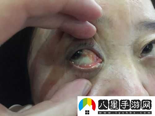 獲得超級胬肉系統(tǒng)小說第二部