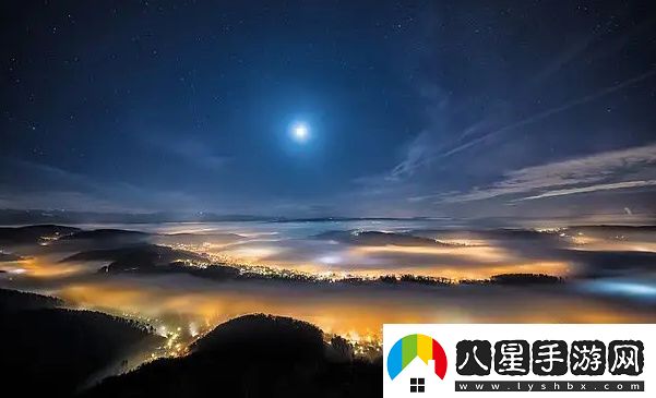 關于世子很兇插花弄玉最經(jīng)典的一句的深度解析與思考