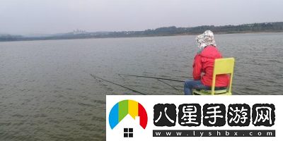 夢(mèng)想家園釣魚技巧分享