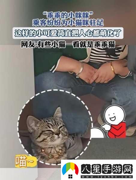 萌寵新紀(jì)元！小貓咪大城市2024年攜中文版登陸XGP