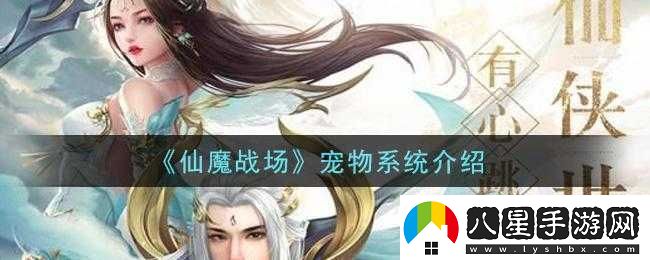 關于仙魔戰(zhàn)場寵物玩法的深度分析與探討
