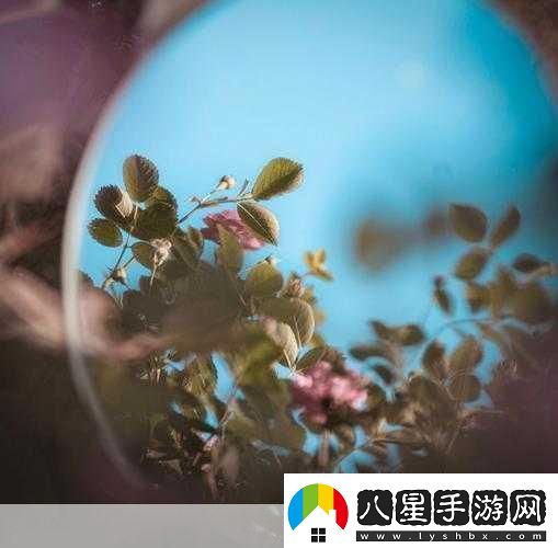 對鏡子看我們的結(jié)合處1.鏡中映照