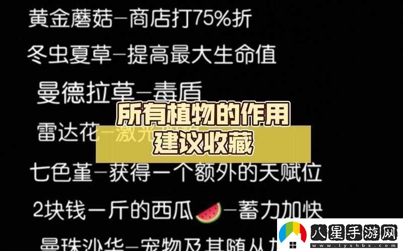 元?dú)怛T士冬蟲(chóng)夏草的作用及具體用法全面詳細(xì)解析