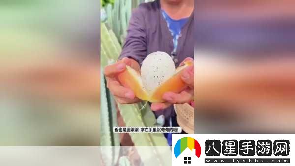 我愛(ài)搞52GAPP探索52G應(yīng)用讓你愛(ài)上科技與生活的無(wú)縫連接！