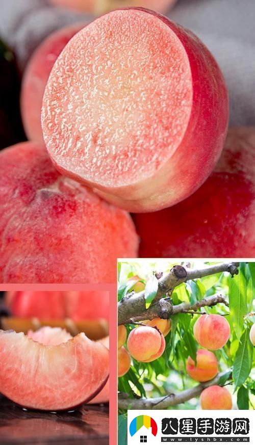 桃醉意國(guó)界的新晉網(wǎng)紅！