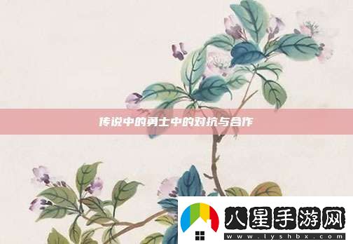 傳說(shuō)中的勇士中的對(duì)抗與合作