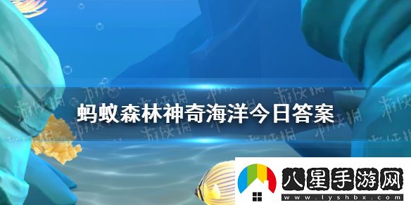 海洋中的獨(dú)居動物是章魚嗎神奇海洋11月8日答案最新