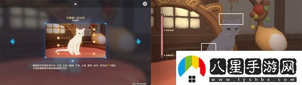 原神茸茸城堡大喵險第三關(guān)怎么過