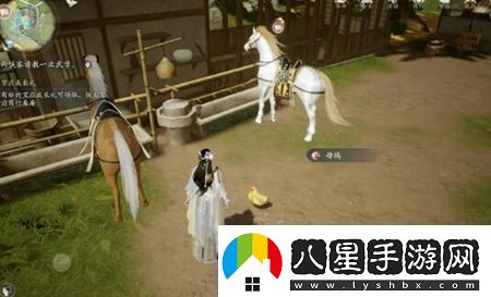 射雕手游動物在哪里找