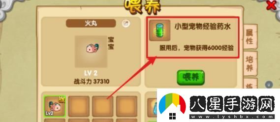 造夢(mèng)西游ol寵物怎么升級(jí)快