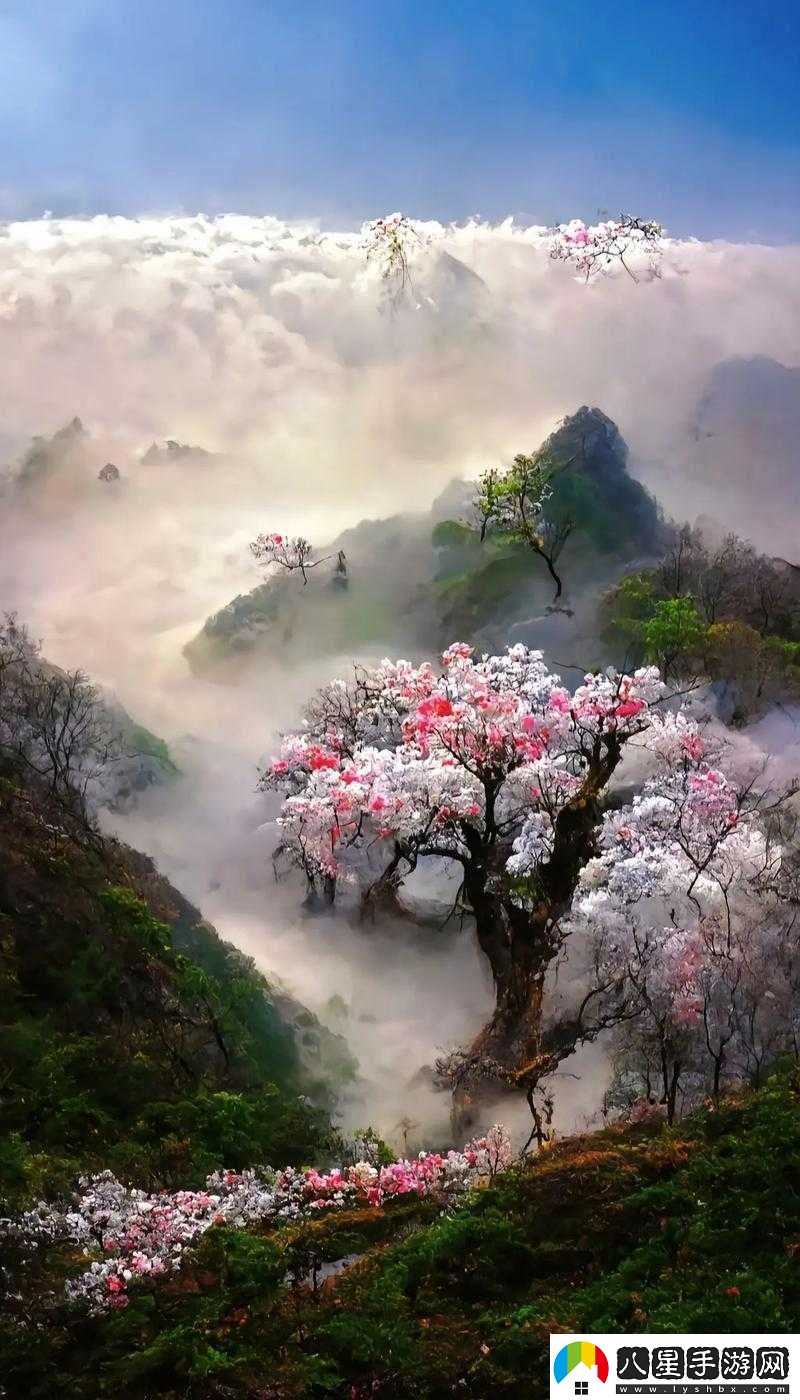 桃花源口水潺潺