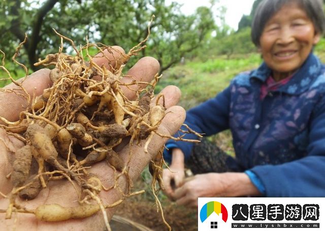 探索國(guó)產(chǎn)內(nèi)容創(chuàng)新