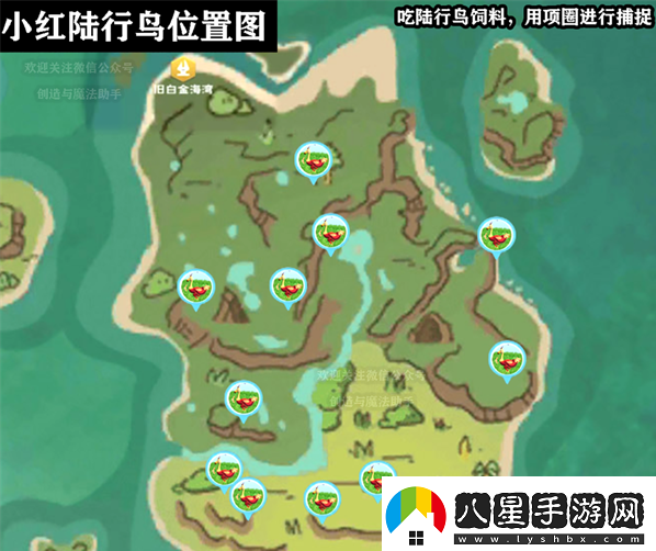 創(chuàng)造與魔法小紅陸行鳥(niǎo)在哪里