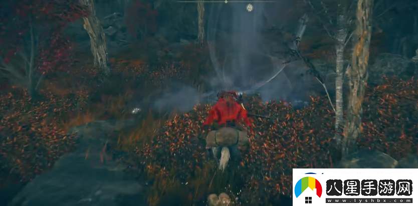 艾爾登法環(huán)dlc神鳥(niǎo)戰(zhàn)士奧尼斯骨灰獲取攻略