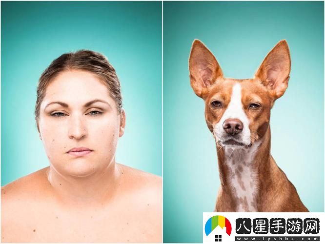 新探索人物動(dòng)物交互狗aa帶來(lái)的美好體驗(yàn)