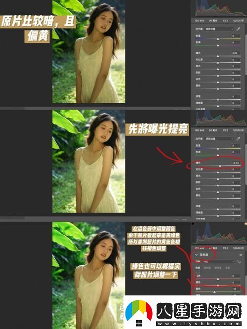 探索“PS一級(jí)二級(jí)調(diào)色大片”的魅力與技巧