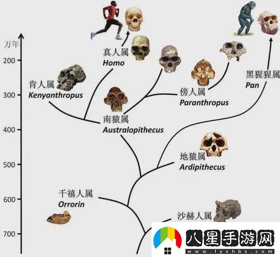 兩人造猴子的視頻引發(fā)的關(guān)于物種起源與進(jìn)化的探討