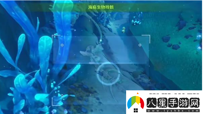 原神水下沉落物在哪