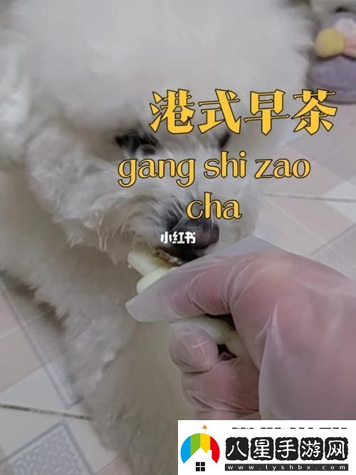 狗和人膠配方大全高清圖片
