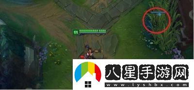 英雄聯(lián)盟中的真眼與假眼有何區(qū)別