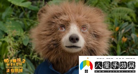 熱映中！帕丁頓熊3