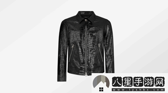 黃仁勛新皮衣超帥！價(jià)格曝光