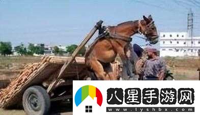 人馬畜禽共性關(guān)系對生態(tài)平衡及人類發(fā)展的重要意義