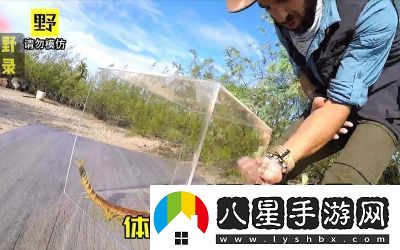 智慧再現(xiàn)！沙漠蜈蚣的必勝打法