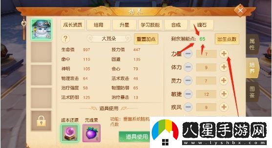 天下手游冰心寵物怎么加點(diǎn)
