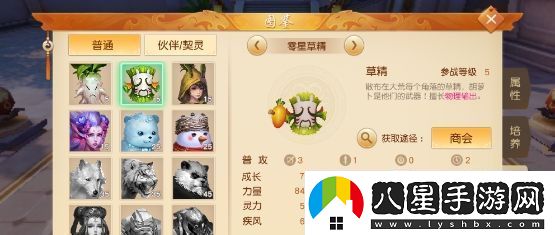天下手游冰心寵物怎么加點(diǎn)