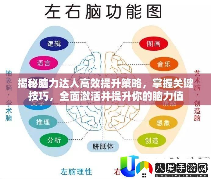 腦力達人提升策略