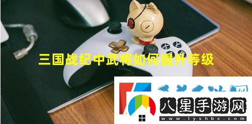 三國戰(zhàn)紀2群雄爭霸手游提升武將攻略一覽