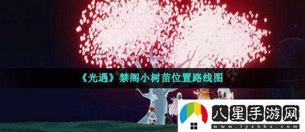 光遇禁閣小樹苗在哪