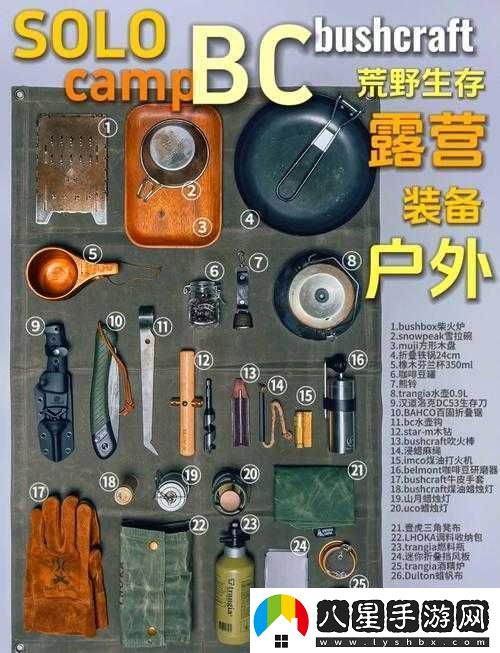 必看往日不再野外武器保存秘籍！90%玩家都不知道的生存訣竅