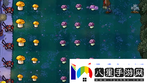植物大戰(zhàn)僵尸精華版冒險(xiǎn)模式2