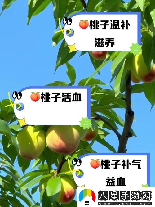 幾幾寒進(jìn)桃子里