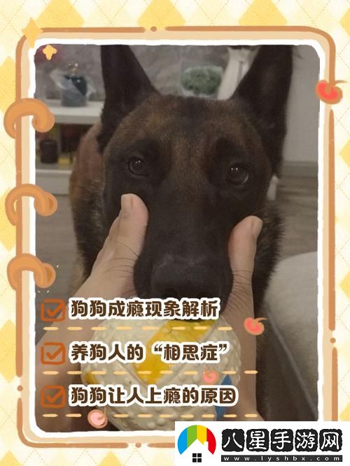 狗狗讓人上癮戒不掉怎么辦