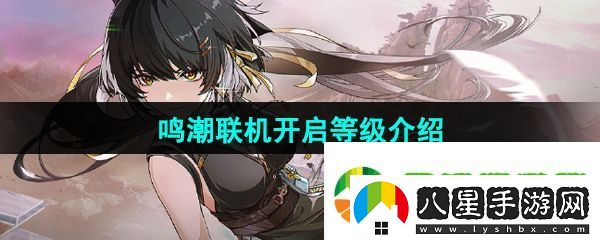 鳴潮聯(lián)機(jī)多少級(jí)開啟