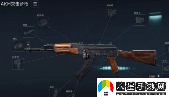 三角洲行動烽火地帶Akm性價比改槍推薦
