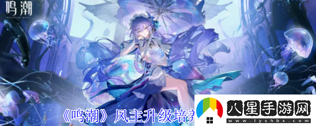 鳴潮風主升級培養(yǎng)材料一覽