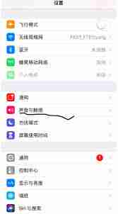 蘋果如何關(guān)掉截屏聲音