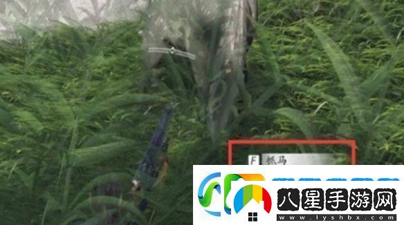燕云十六聲馬怎么抓