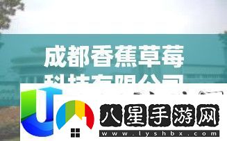 成都香蕉草莓科技公司