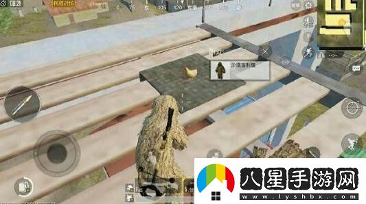 絕地求生刺激戰(zhàn)場雞在哪里