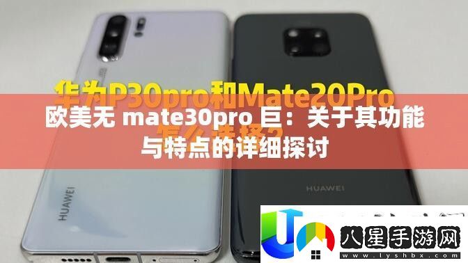 歐美m(xù)ate30pro巨無霸功能詳解與特點對比