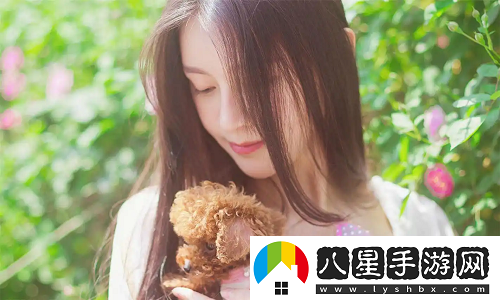 b站在線觀看人數(shù)在哪