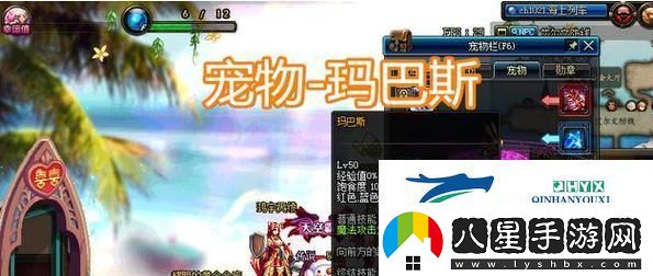 DNF手游寵物進化攻略