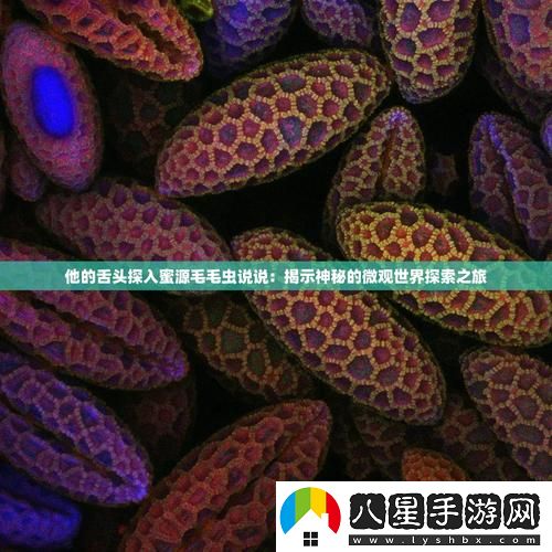 他的舌頭探進(jìn)蜜源毛毛蟲說說