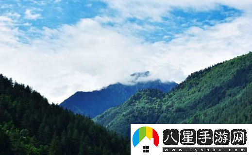 可修改水印相機免費下載
