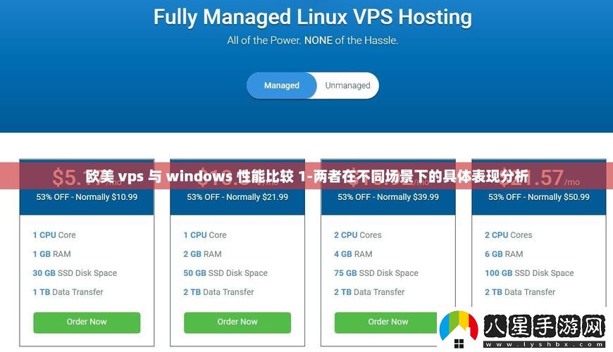 “歐美vps與windows性能比較”究竟誰更勝一籌